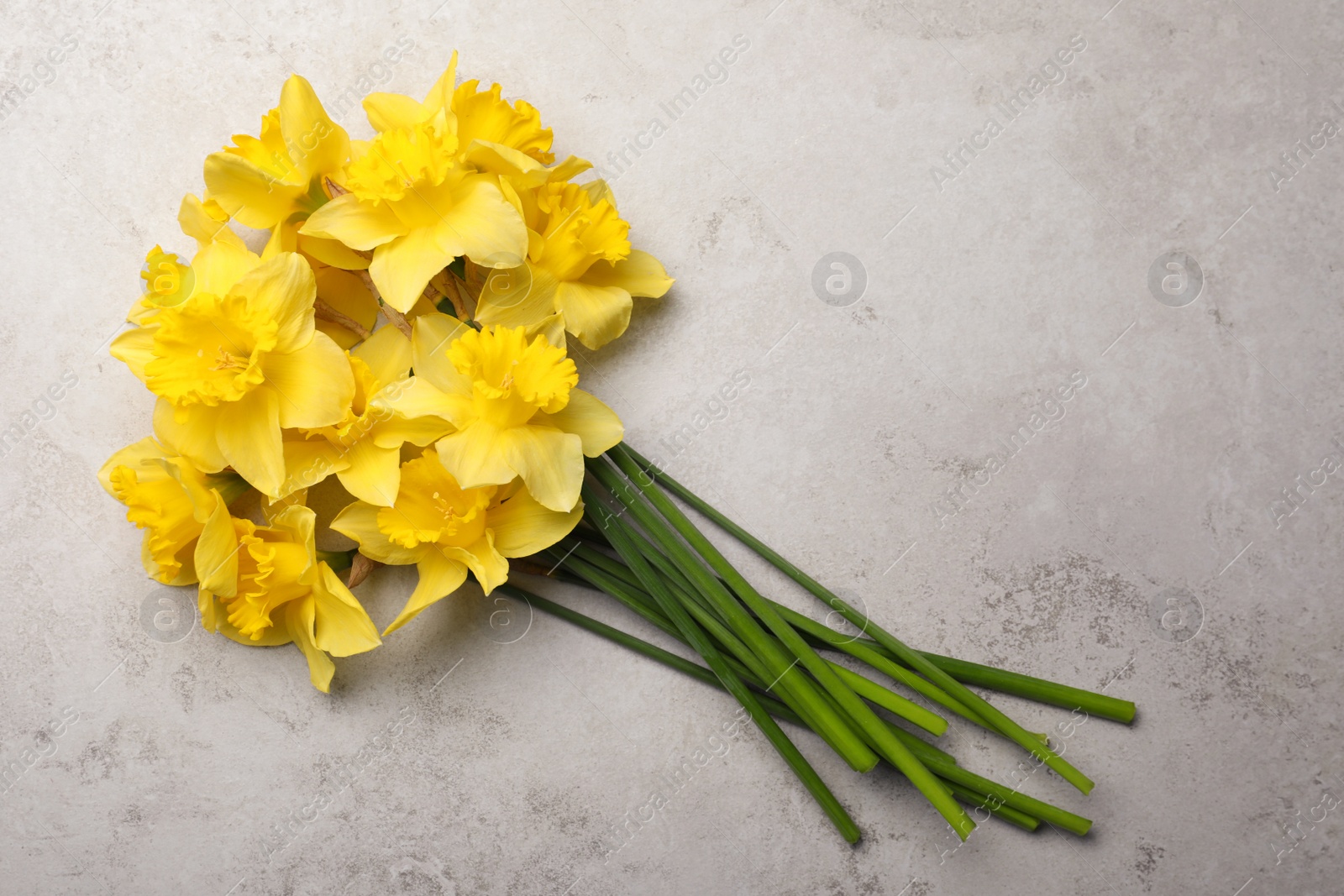 Photo of Beautiful daffodil bouquet on light grey table, top view. Space for text