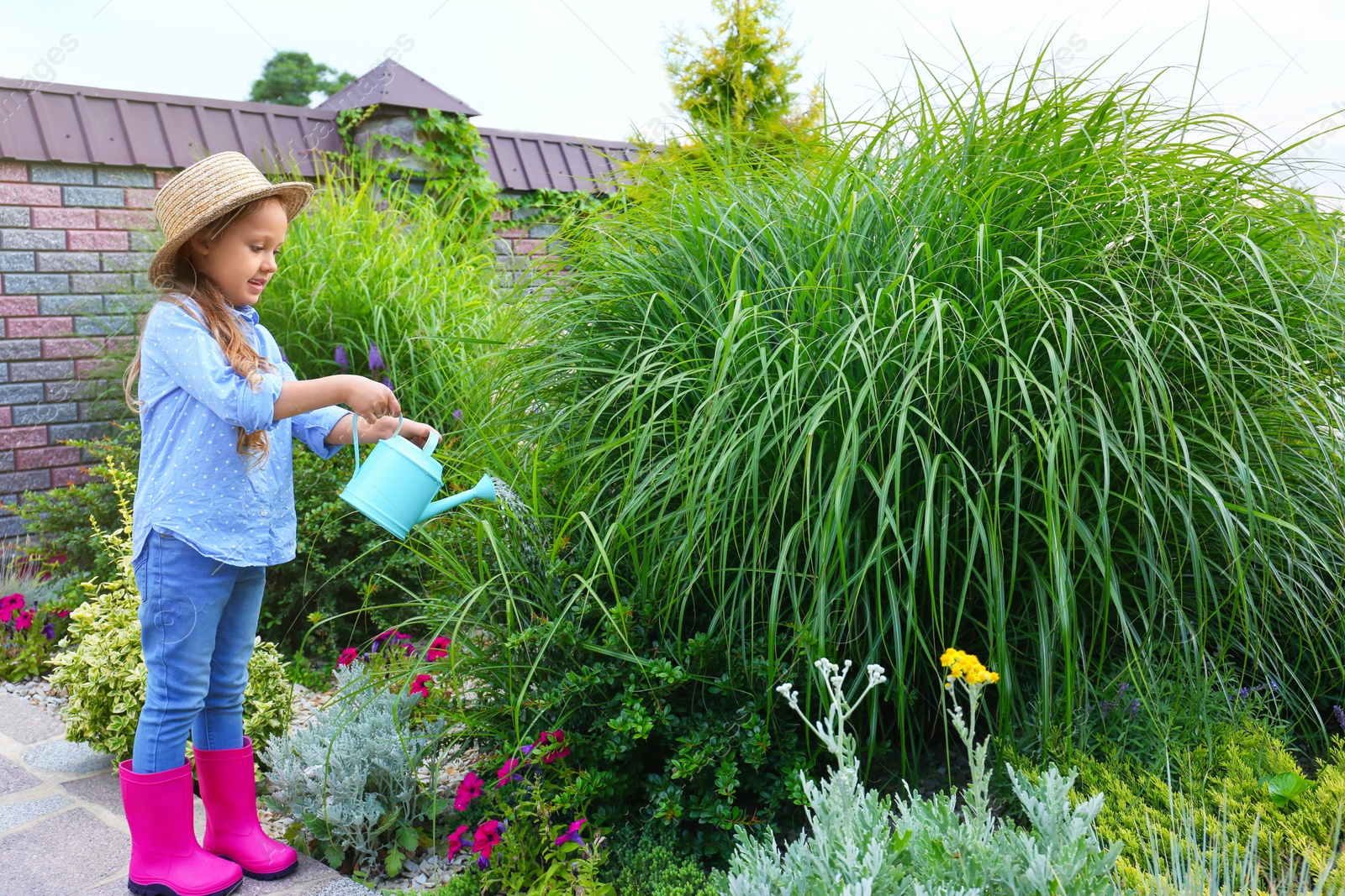 Photo of Little girl watering plant outdoors. Home gardening