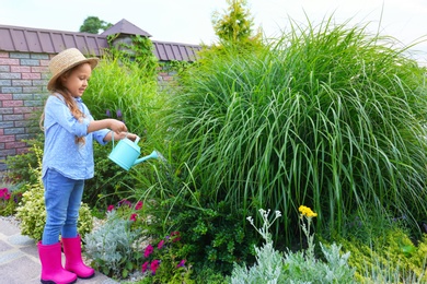 Little girl watering plant outdoors. Home gardening