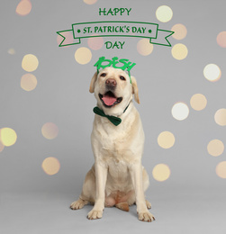 Labrador retriever with Irish party glasses and bow tie on light grey background. St. Patrick's day