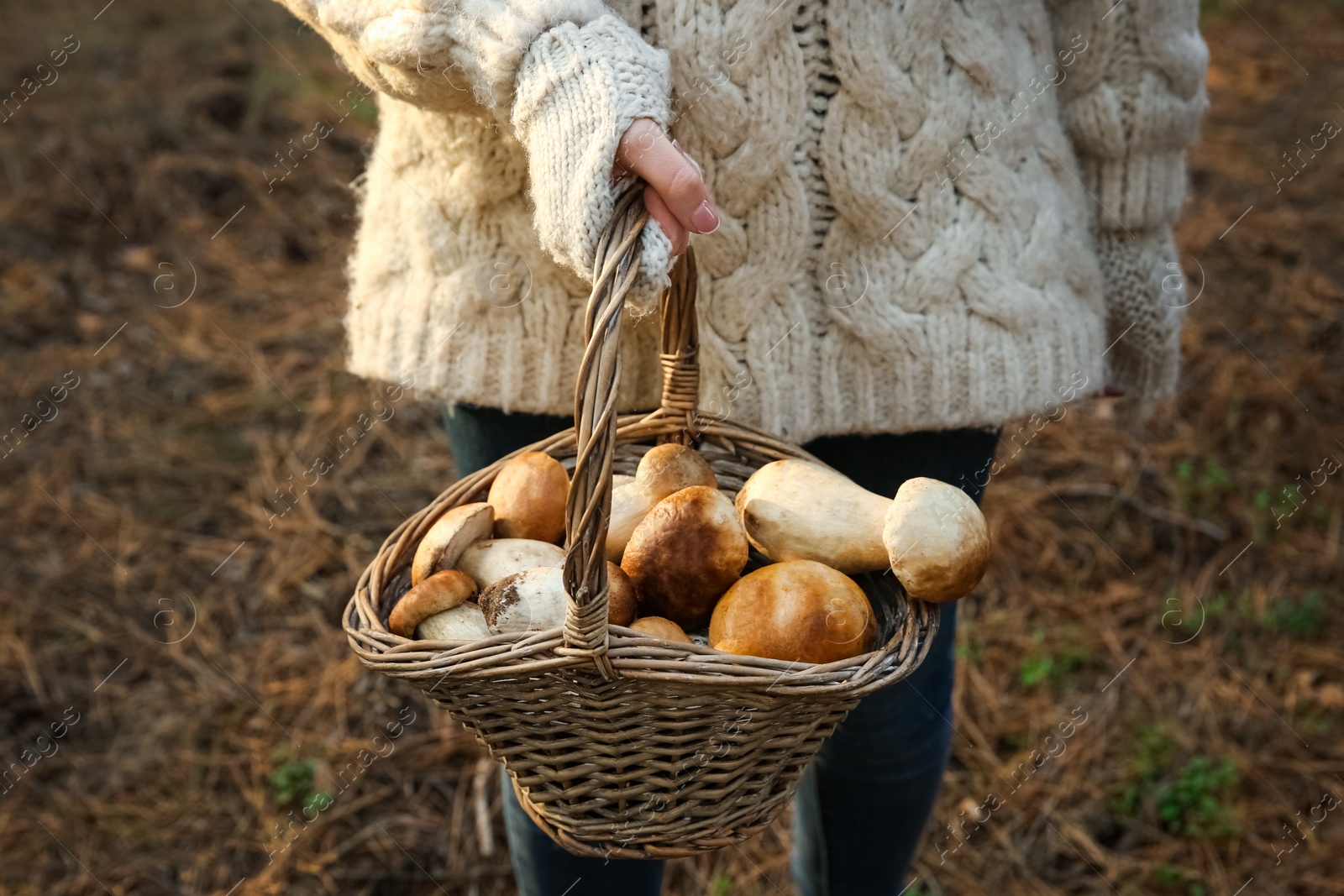 Photo of Woman holding basket with porcini mushrooms in forest, closeup