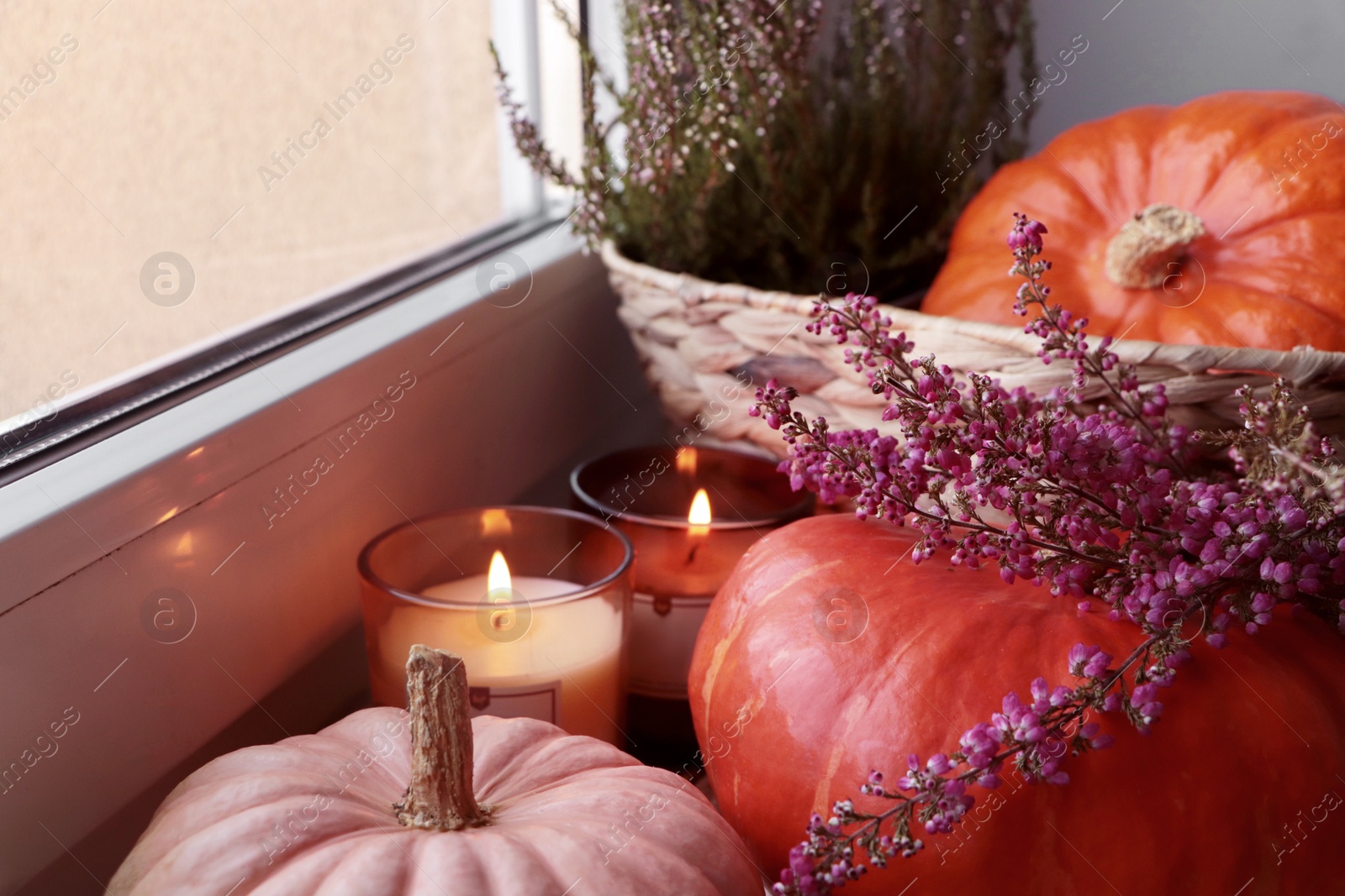 Photo of Wicker basket with beautiful heather flowers, pumpkins and burning candles near window indoors, closeup