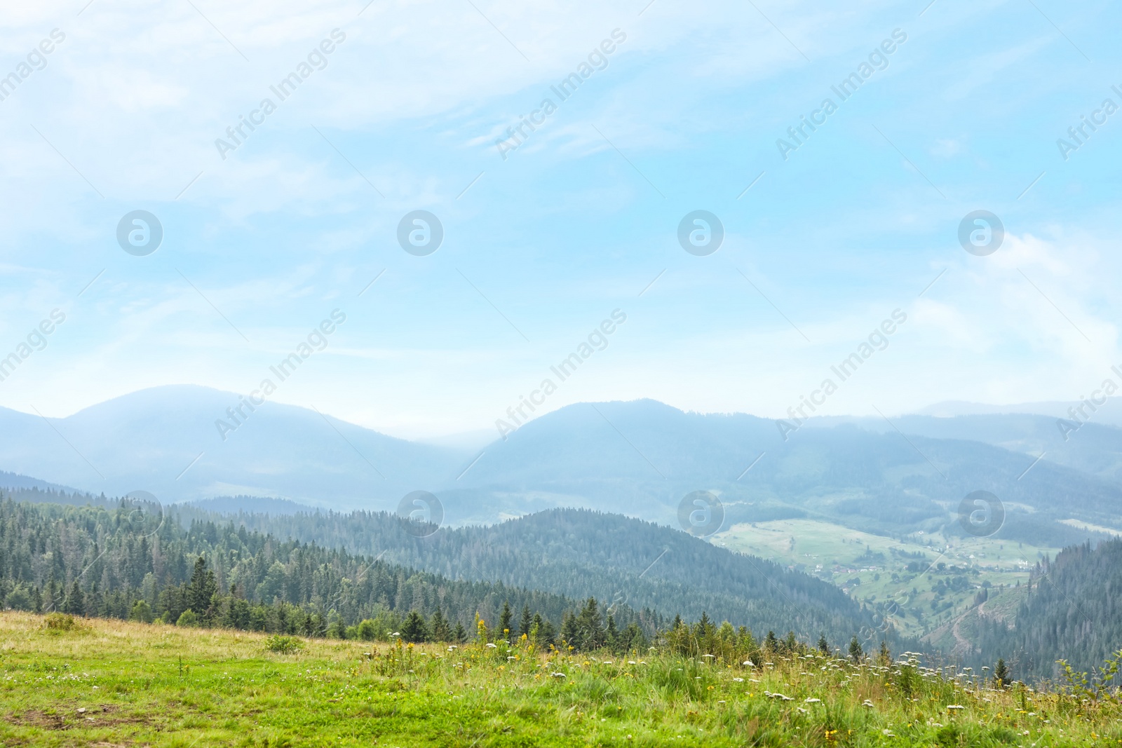 Photo of Picturesque landscape with mountain forest