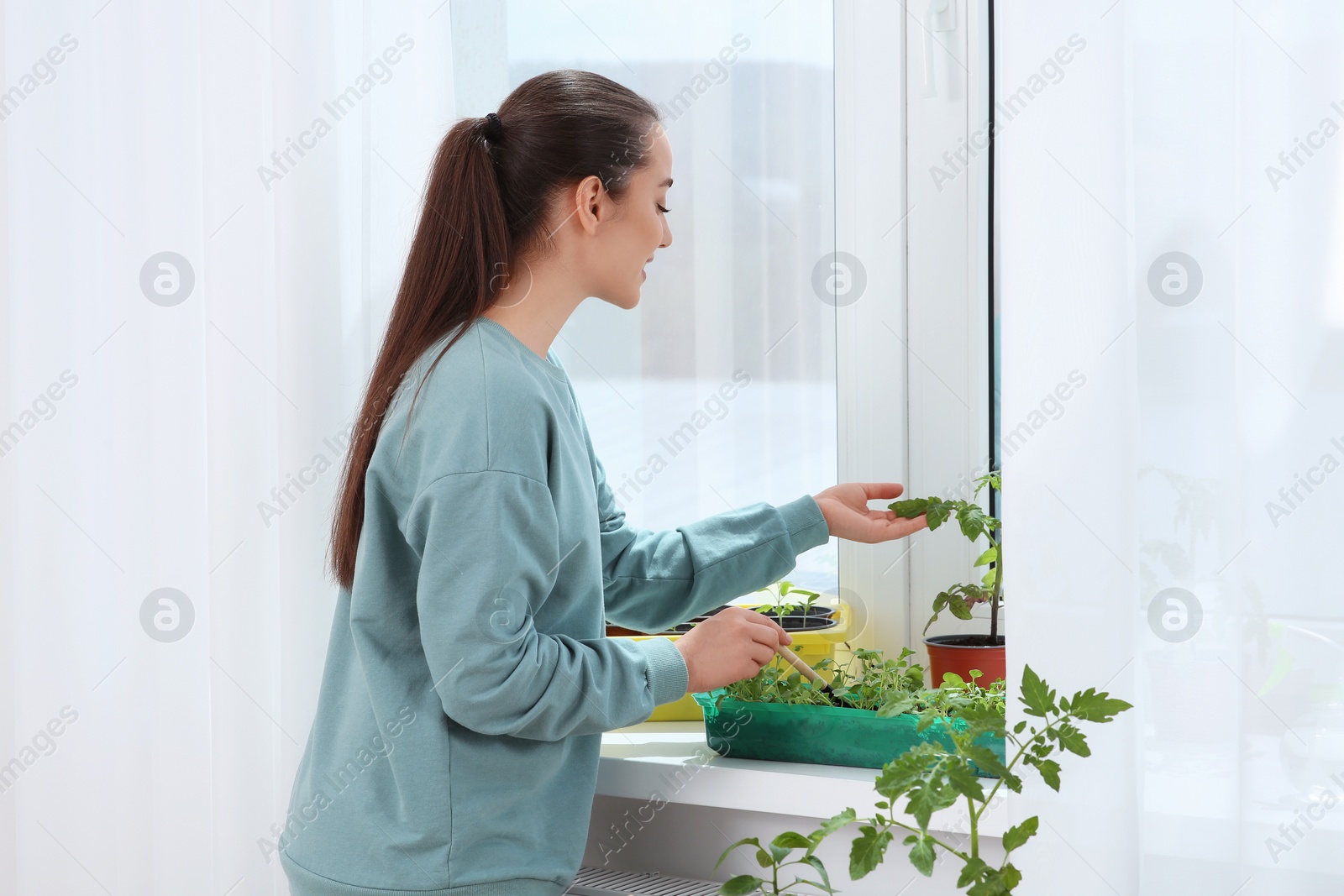 Photo of Happy woman planting seedlings into plastic container on windowsill indoors