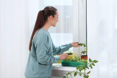 Photo of Happy woman planting seedlings into plastic container on windowsill indoors