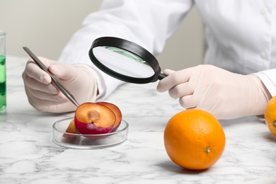 Photo of Scientist with magnifying glass exploring plum in laboratory, closeup. Poison detection