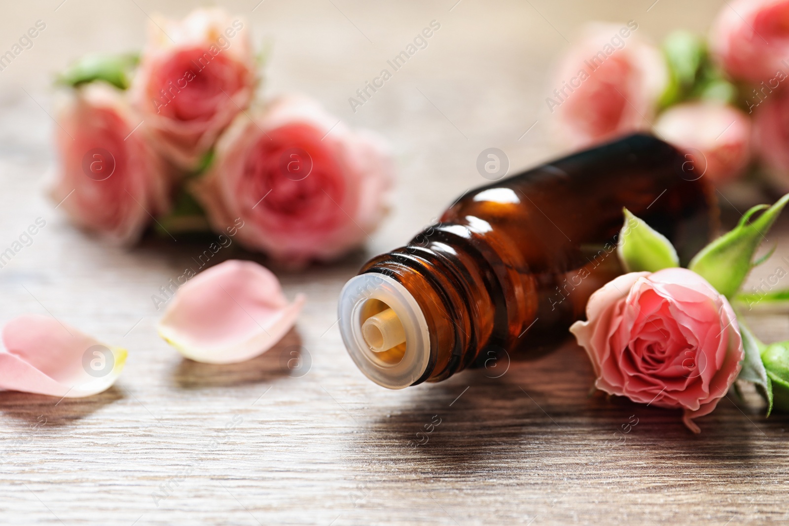 Photo of Bottle of rose essential oil and fresh flowers on wooden table, closeup. Space for text