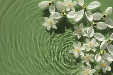 Photo of Beautiful flowers in water on green background, top view. Space for text