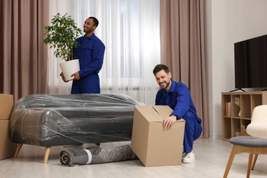 Male movers with cardboard box and plant in new house