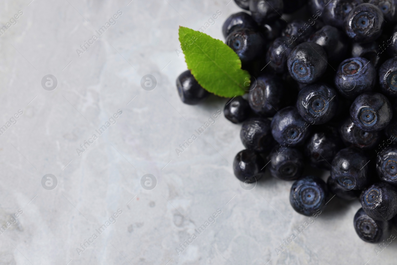 Photo of Ripe bilberries and leaf on grey marble table, closeup. Space for text