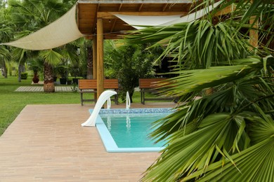 Photo of Green palm near outdoor swimming pool with grab rails