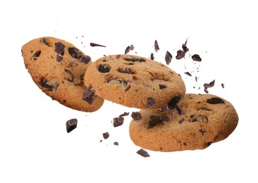 Image of Tasty chocolate chip cookies falling on white background