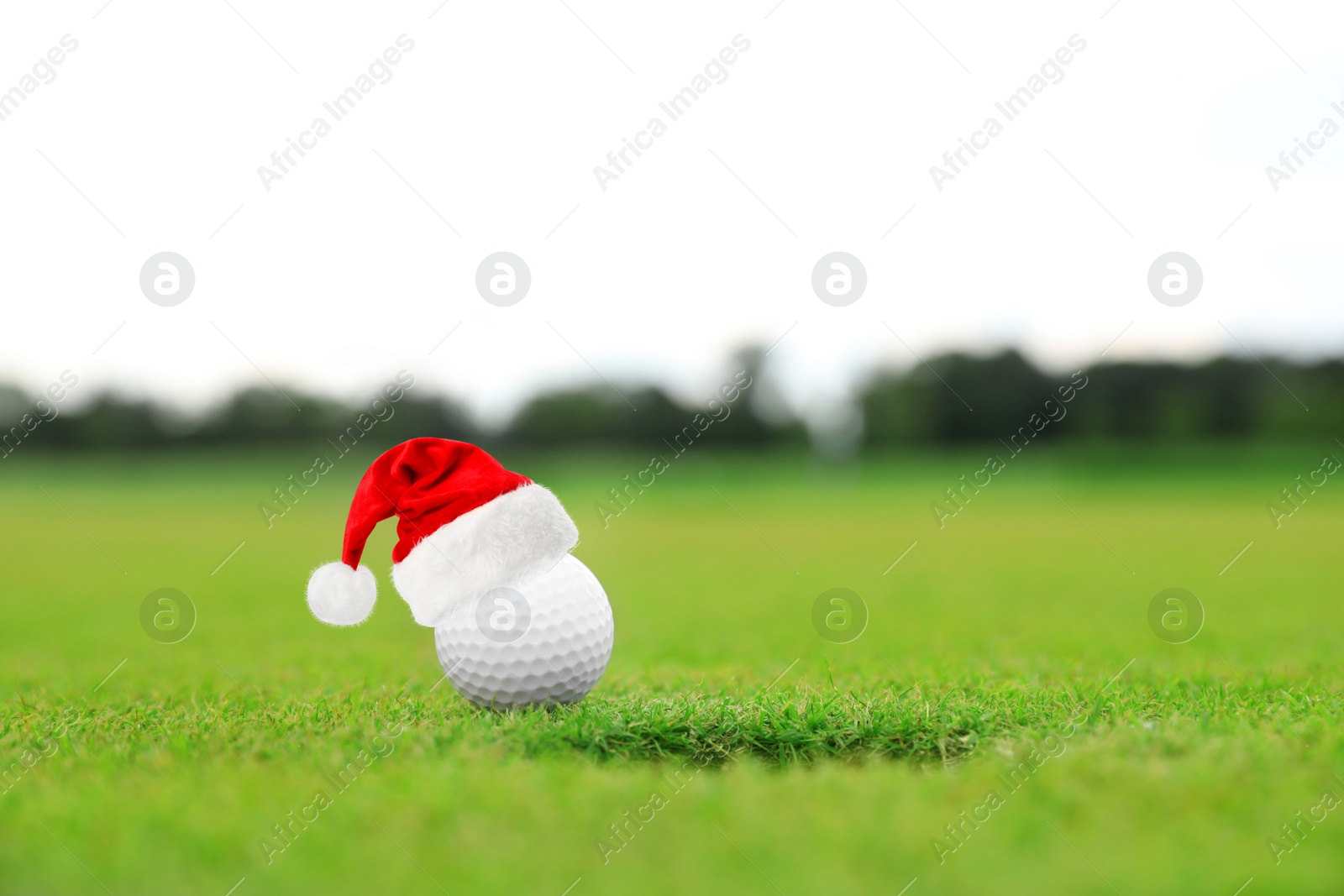 Image of Golf ball with small Santa hat near hole on green course