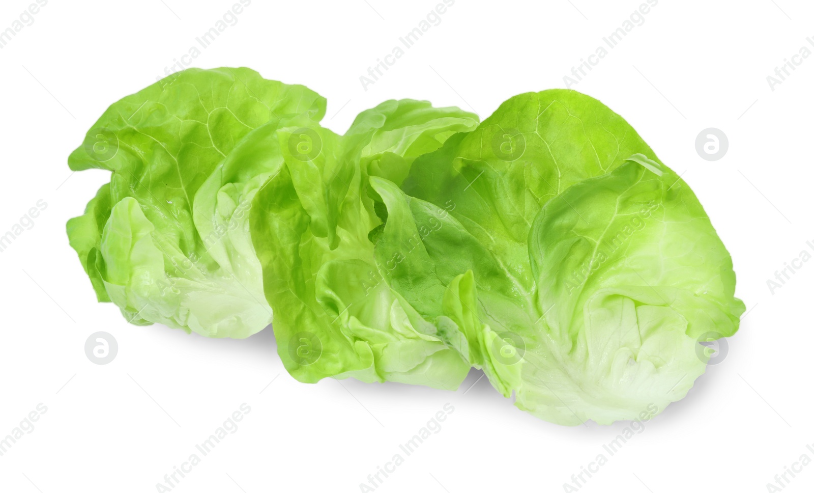 Photo of Fresh leaves of green butter lettuce isolated on white