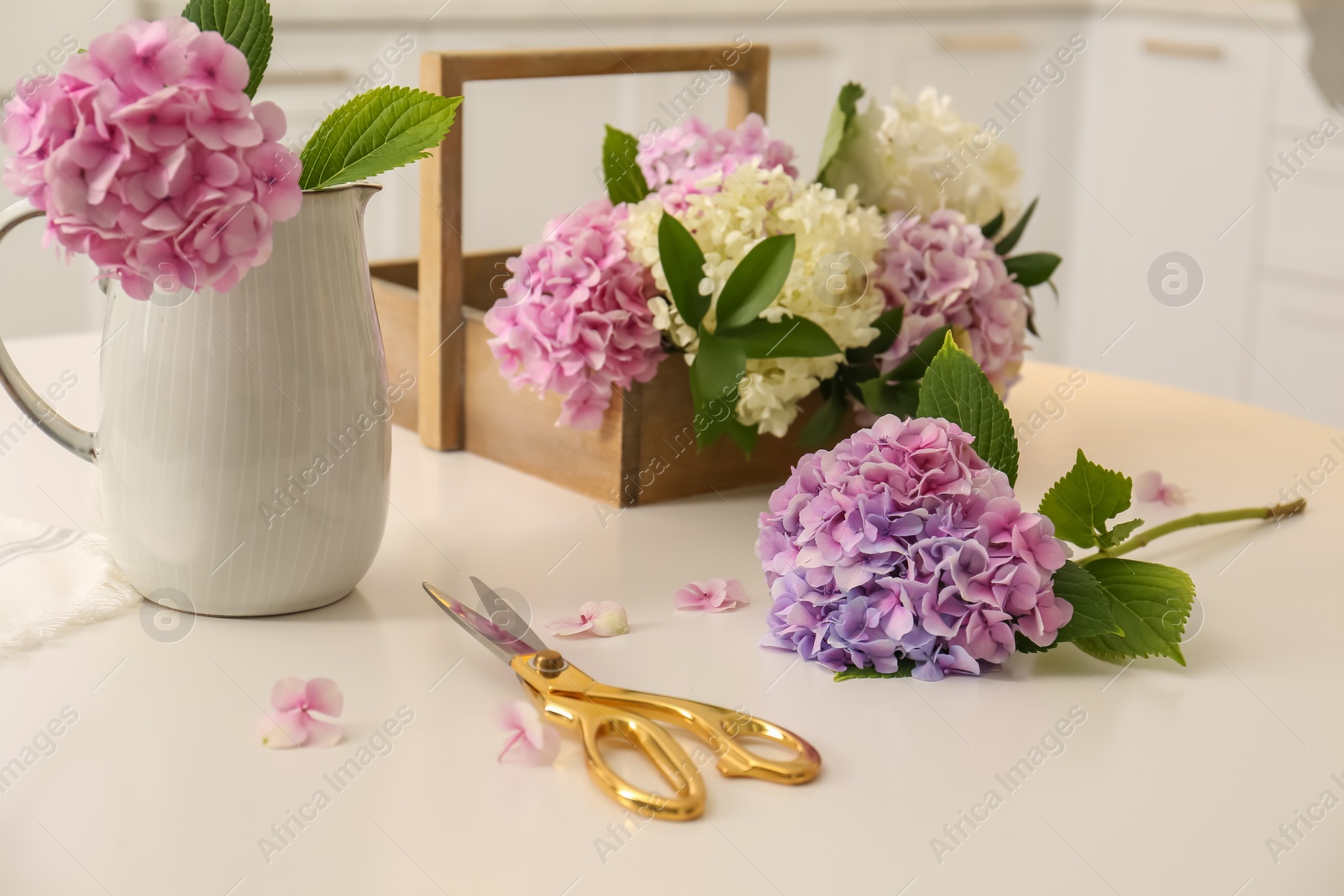 Photo of Beautiful hydrangea flowers and scissors on white table. Interior design element