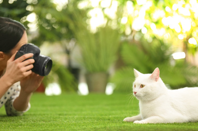 Photo of Professional animal photographer taking picture of beautiful white cat outdoors, closeup