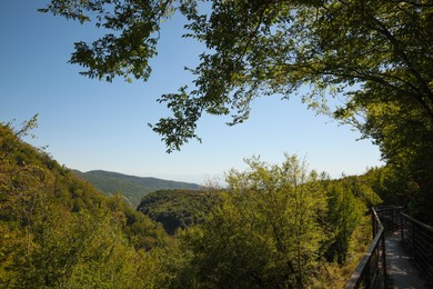 Picturesque view of mountain forest under beautiful sky