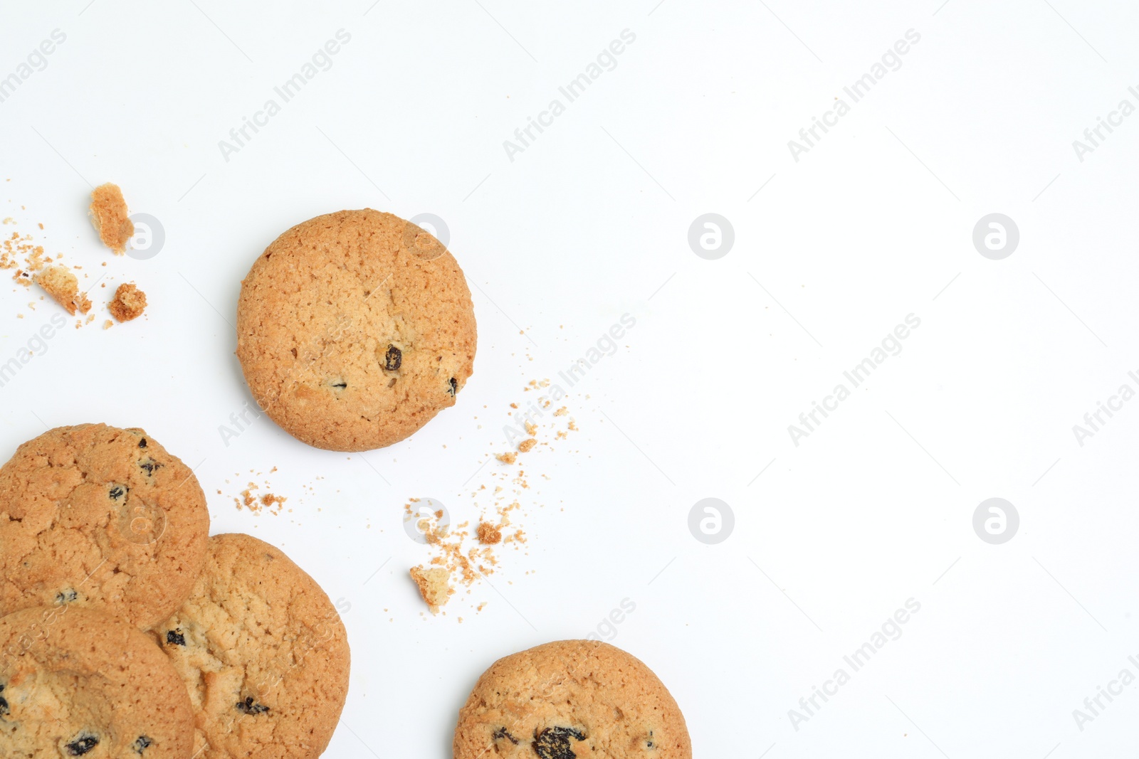 Photo of Tasty homemade cookies with raisins on white background, top view