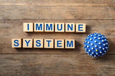 Cubes with phrase Immune System on wooden table, flat lay