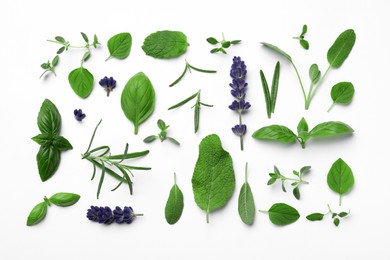 Many different aromatic herbs on white background, flat lay