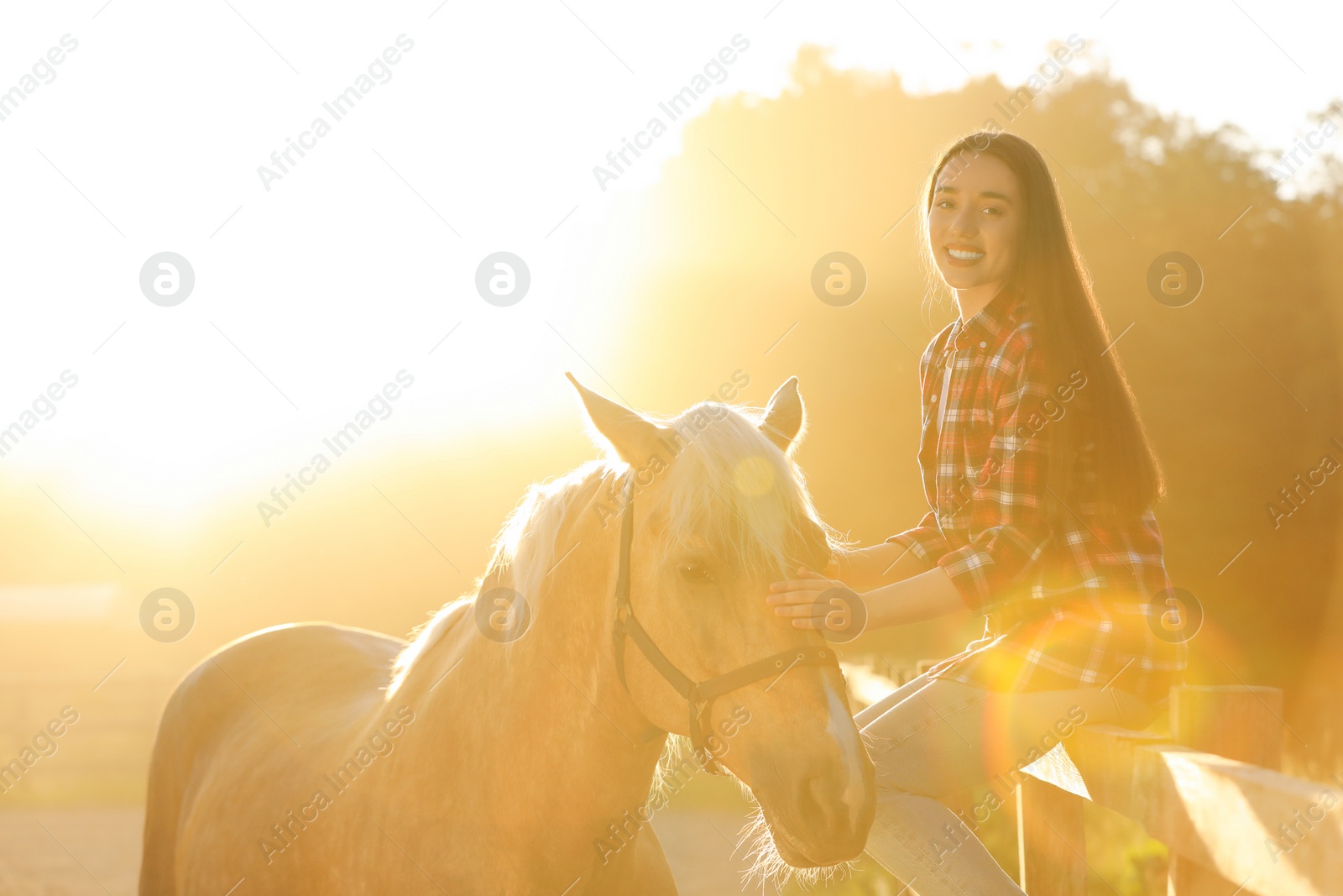 Photo of Beautiful woman with adorable horse outdoors on sunny day. Lovely domesticated pet