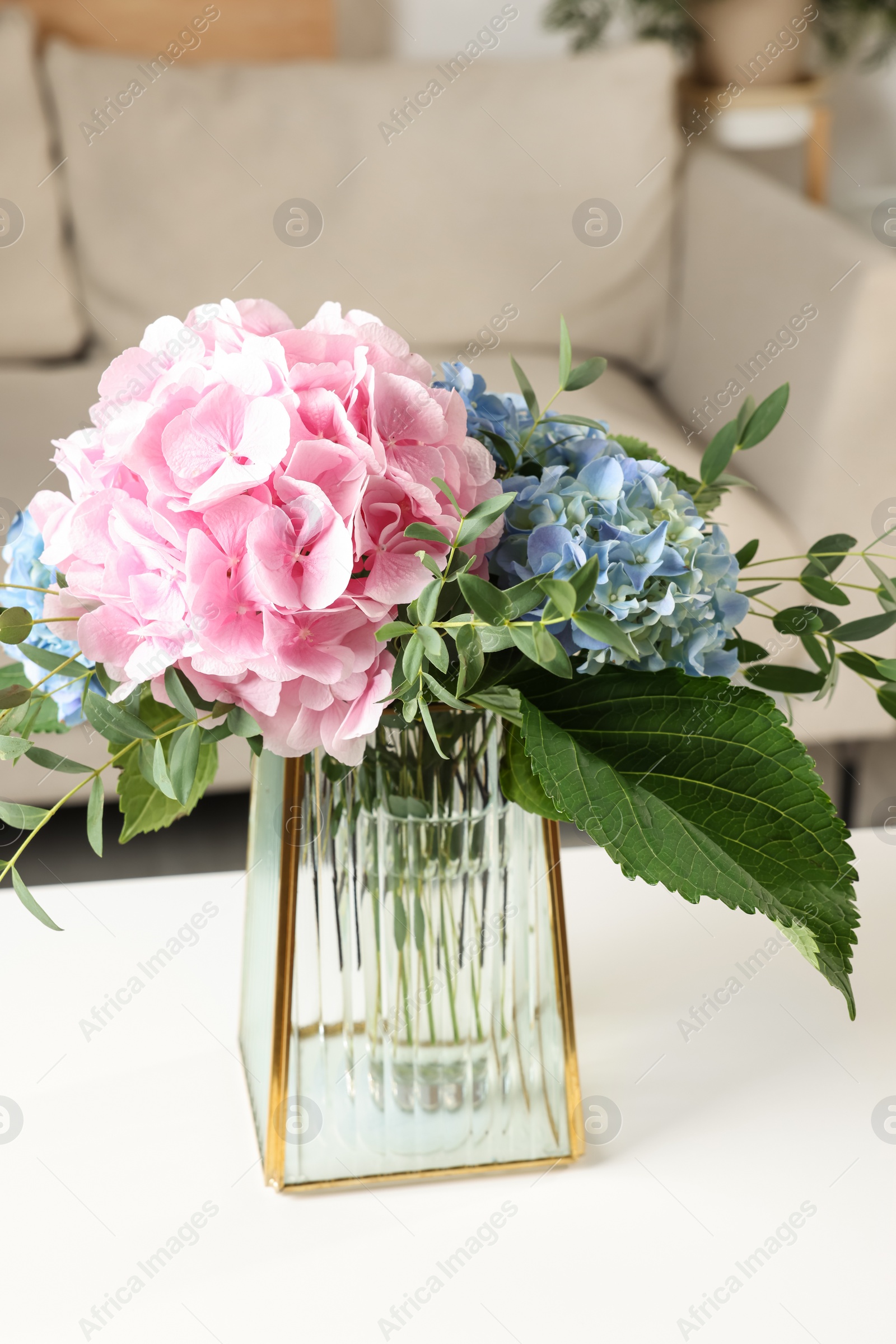 Photo of Beautiful hortensia flowers in vase on white table indoors