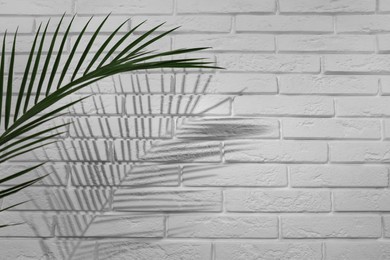 Photo of Tropical palm branch casting shadow on white brick wall. Space for text