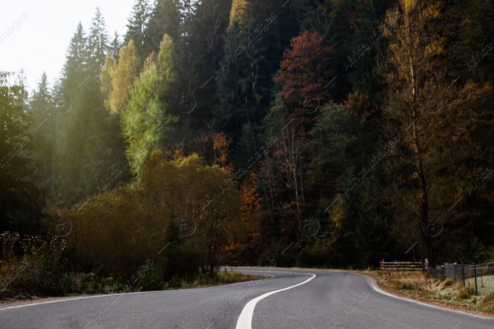 Photo of Beautiful view of asphalt highway without transport near coniferous forest. Autumn season