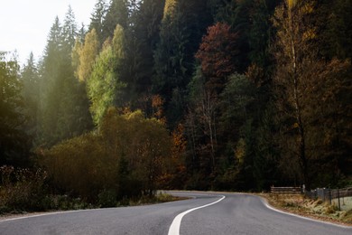 Photo of Beautiful view of asphalt highway without transport near coniferous forest. Autumn season