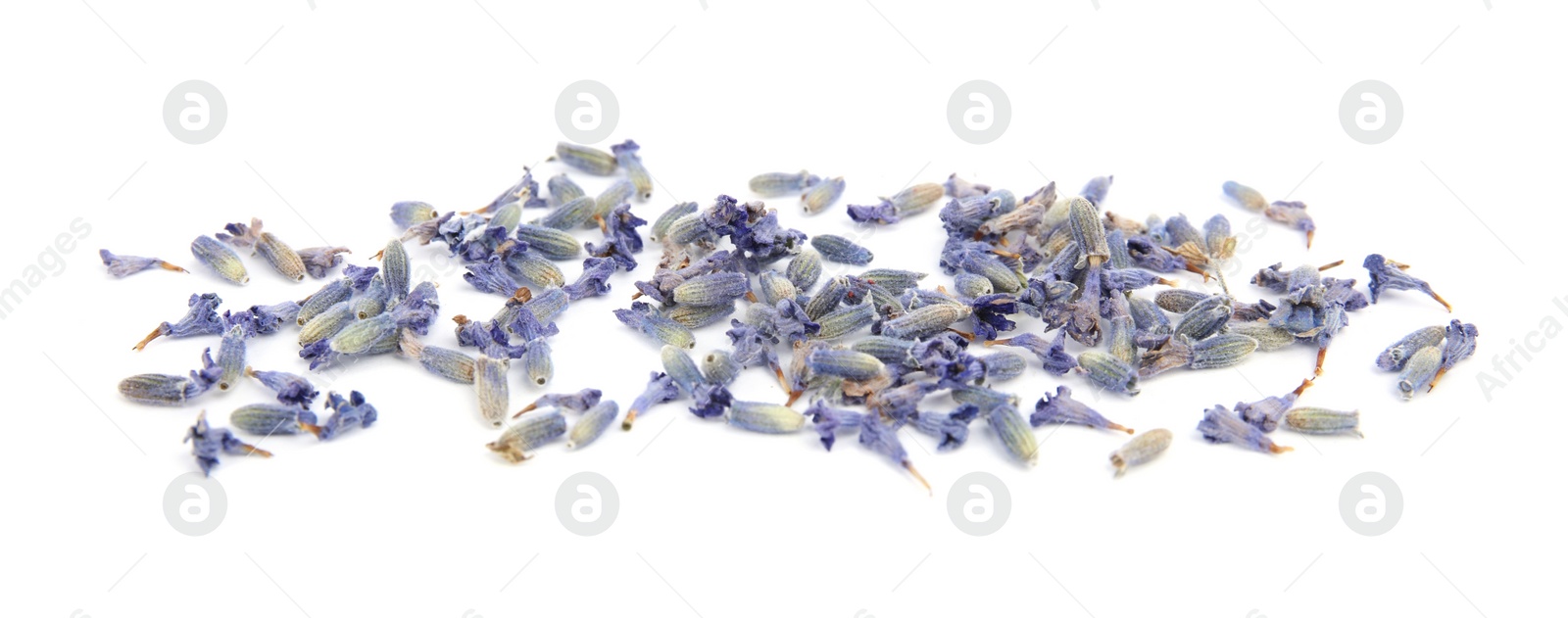 Image of Heap of beautiful lavender flowers on white background