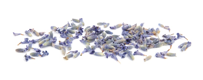 Heap of beautiful lavender flowers on white background