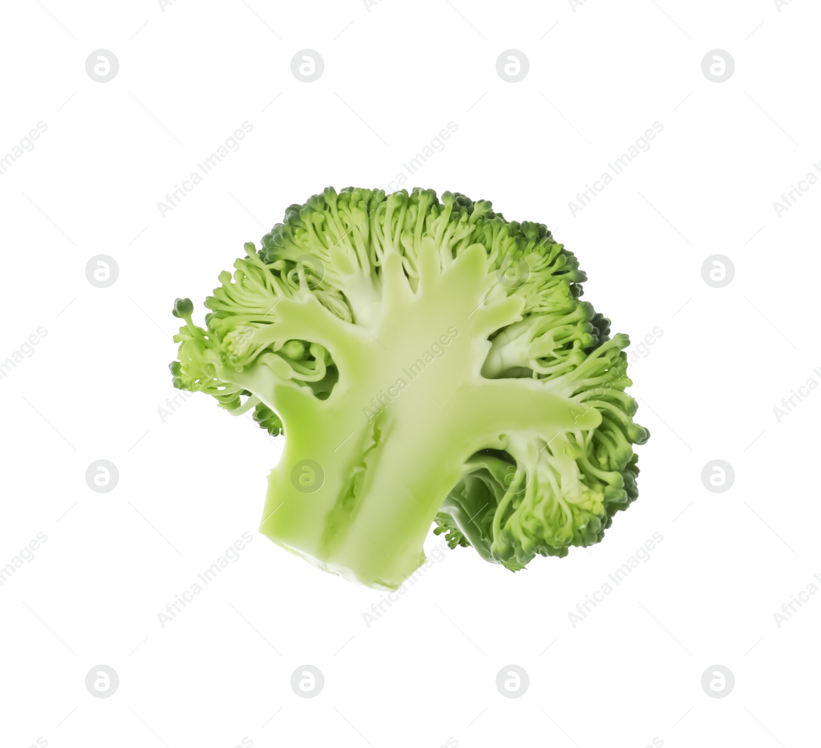 Photo of Slice of fresh green broccoli isolated on white