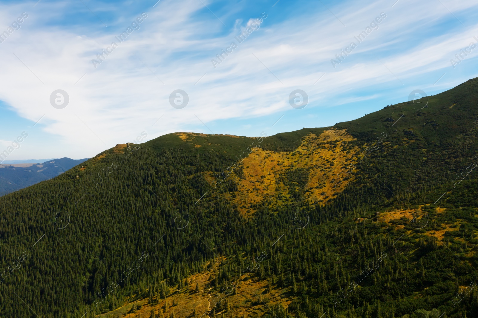 Image of Beautiful mountain landscape with forest on sunny day. Drone photography