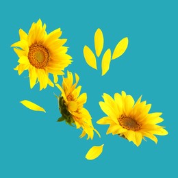 Image of Bright sunflowers in air on light blue background