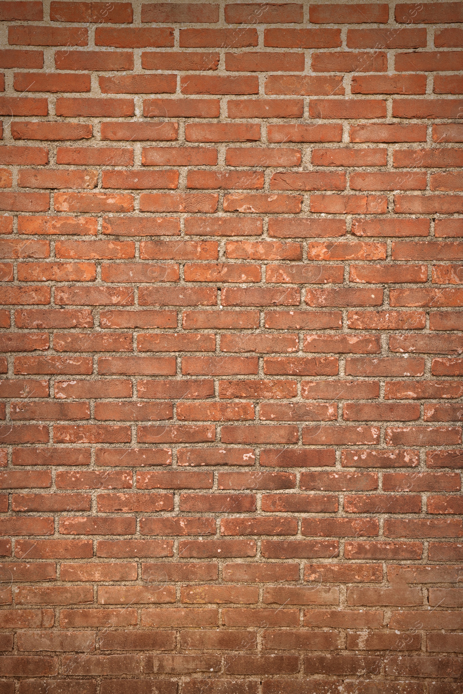 Photo of Texture of red brick wall as background