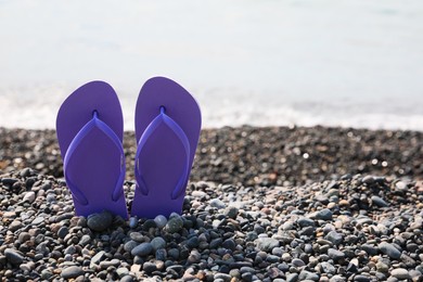 Stylish flip lops on pebble beach near sea, closeup. Space for text