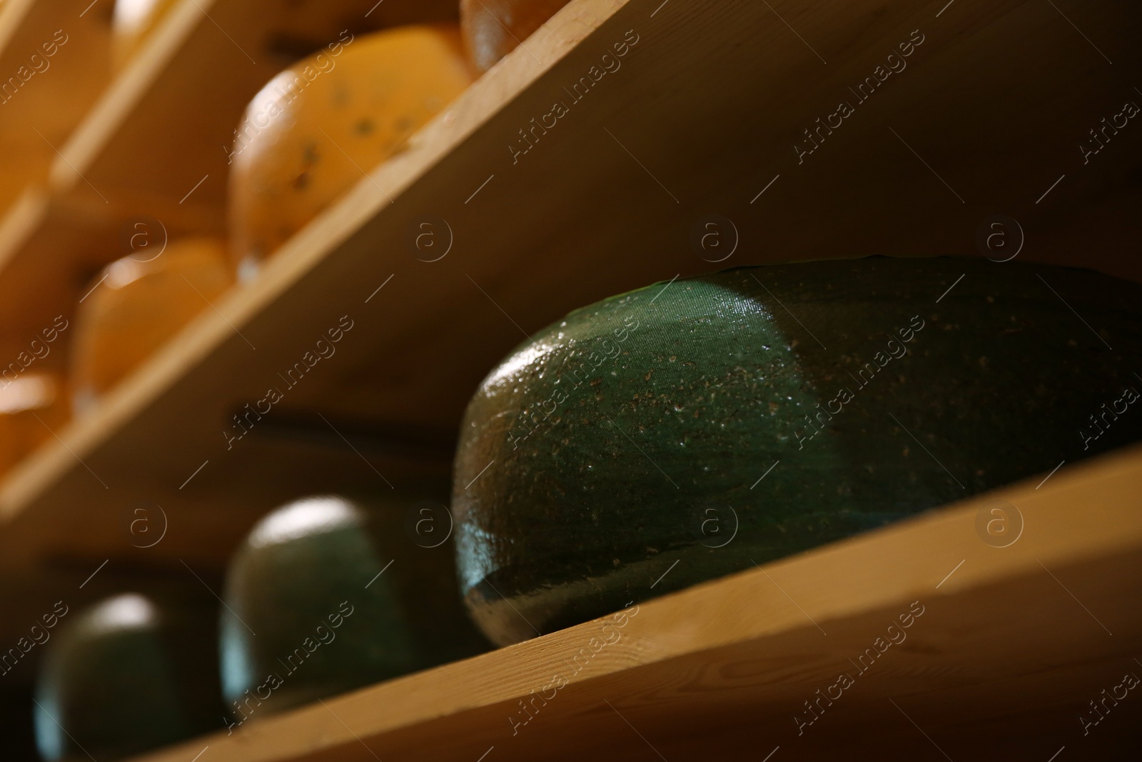 Photo of Fresh cheese heads on rack in factory warehouse, closeup