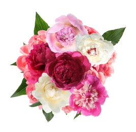 Image of Beautiful peony flower bouquet on white background