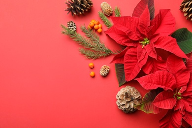 Photo of Flat lay composition with poinsettias (traditional Christmas flowers) and decor on red background. Space for text
