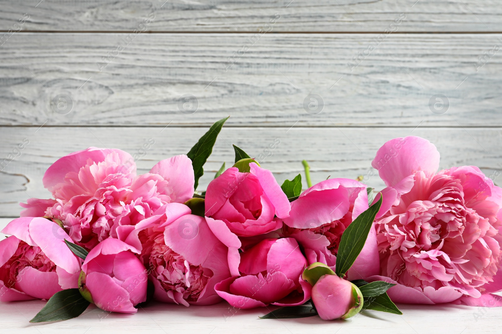 Photo of Fragrant peonies against wooden background. Beautiful spring flowers