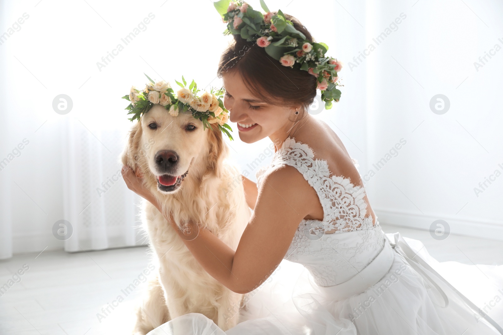 Photo of Bride and adorable Golden Retriever wearing wreath made of beautiful flowers indoors