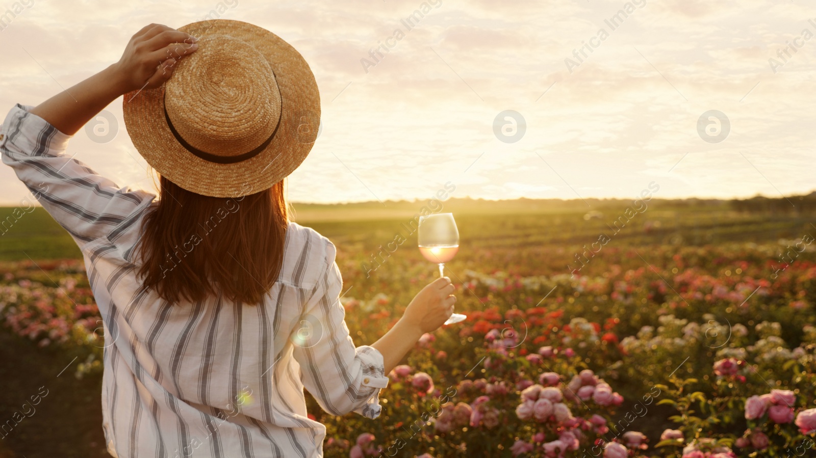 Photo of Woman with glass of wine in rose garden on sunny day. Space for text
