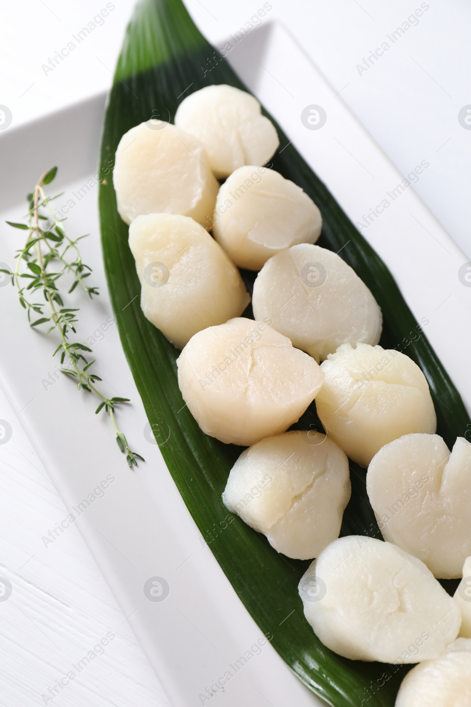 Photo of Fresh raw scallops and thyme on white wooden table, closeup