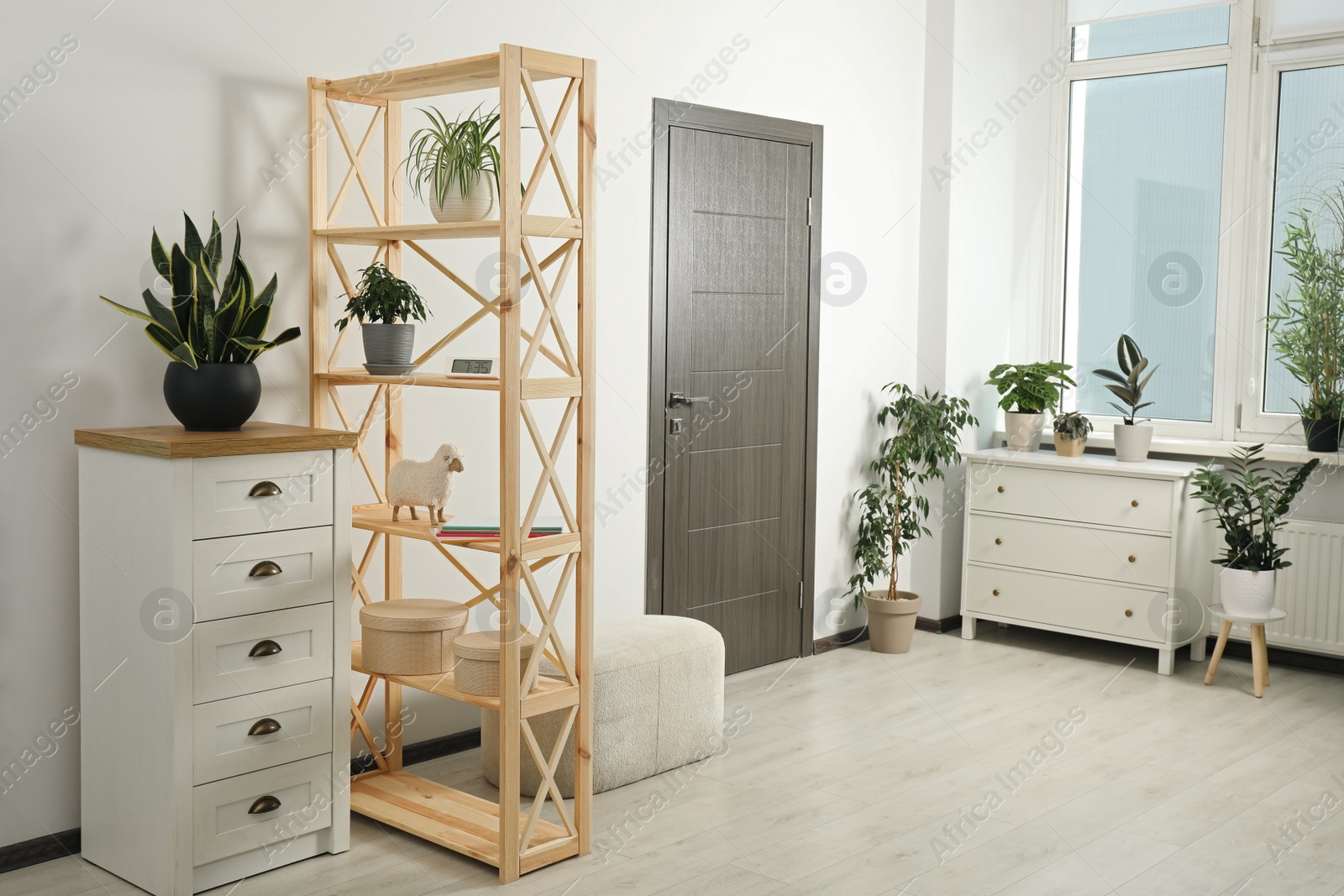 Photo of Stylish room interior with wooden furniture and beautiful green houseplants