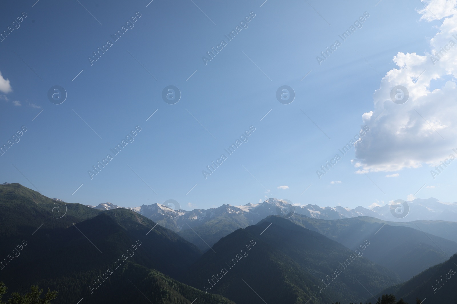 Photo of Aerial view of beautiful landscape with mountain forest on sunny day