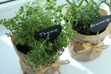 Photo of Different fresh potted herbs on windowsill indoors, closeup