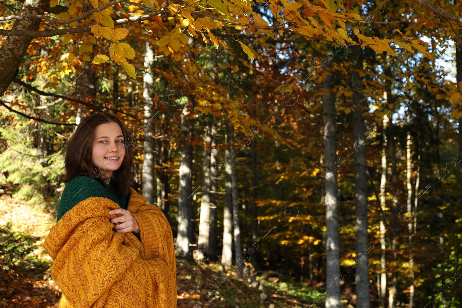 Photo of Portrait of beautiful young woman in autumn forest, space for text