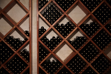 Many bottles of wine on shelves in cellar