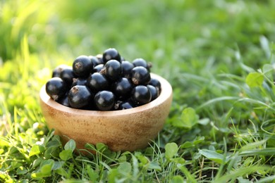 Photo of Ripe blackcurrants in bowl on green grass. Space for text