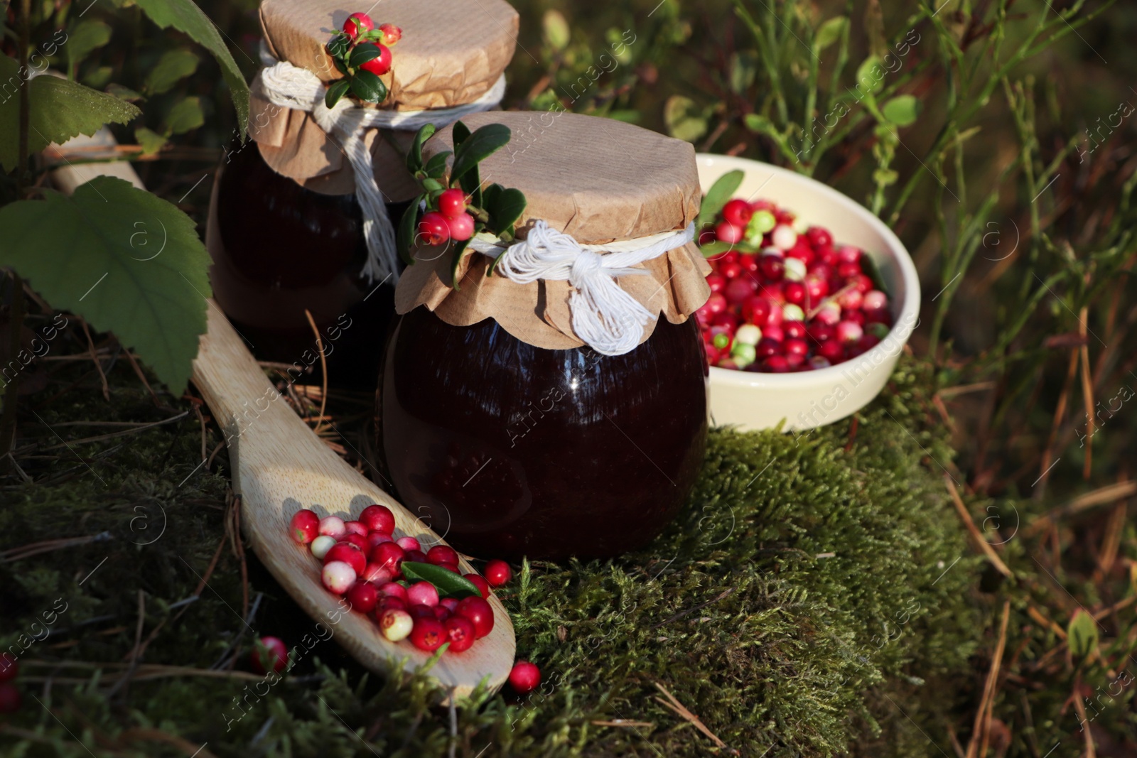 Photo of Jars of delicious lingonberry jam and red berries outdoors